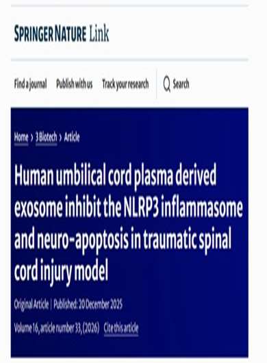 Human umbilical cord plasma derived exosome inhibit the NLRP3 inflammasome and neuro apoptosis in traumatic spinal cord injury
